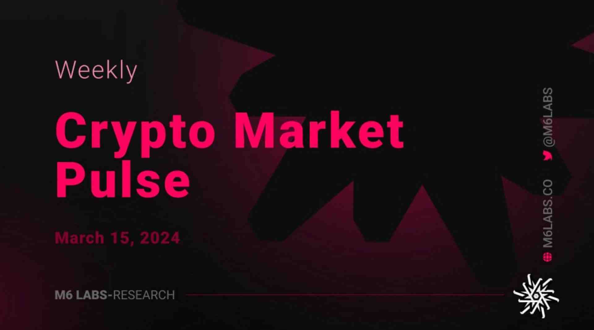 M6 Labs Crypto Market Pulse: Tales Of Lambos And The Moon