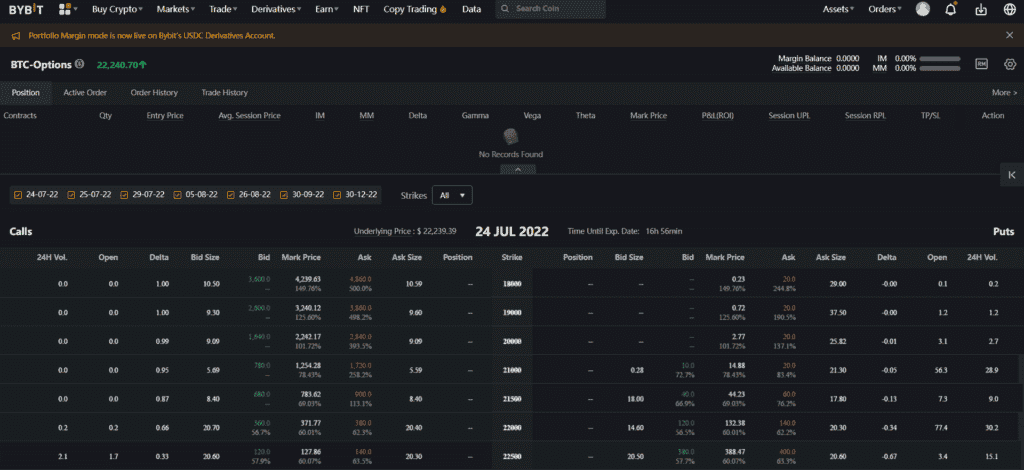 Bybit Options Interface