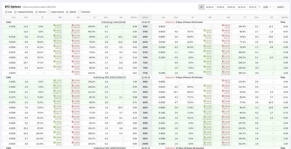 Deribit Option Exchange Platform