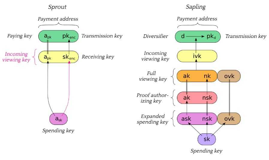 Key Components Between Sprout and Sapling