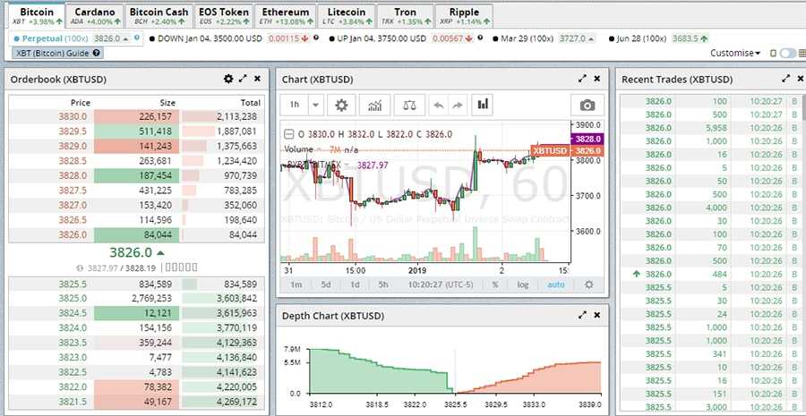 BitMEX Margin Trading Example