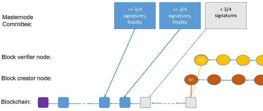 Tomochain Chainmaking Process