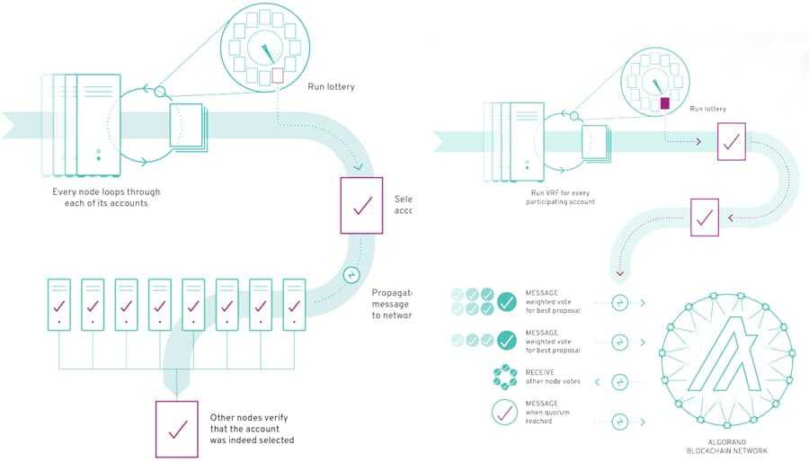 Algorand Consensus Mechanism