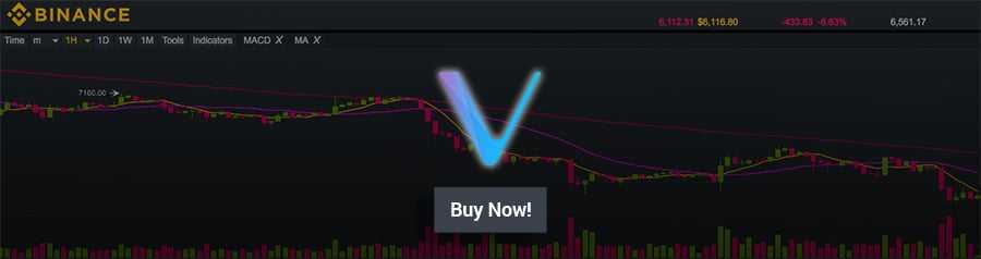 Binance VET