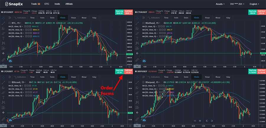 SnapEx Multiple Charts