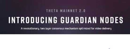 Guardian Nodes
