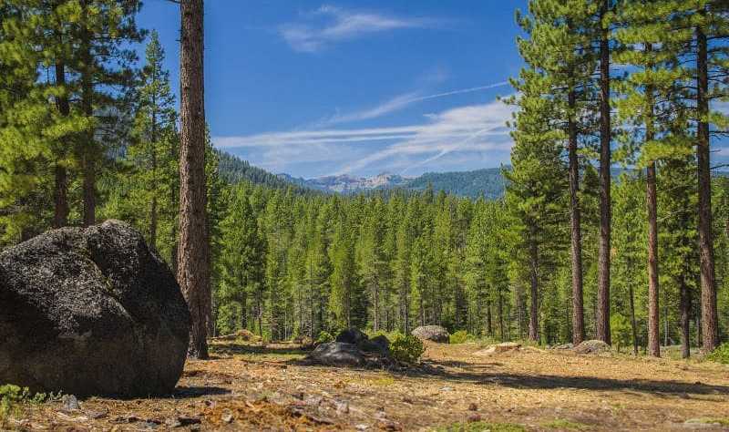 Land near Lake Tahoe