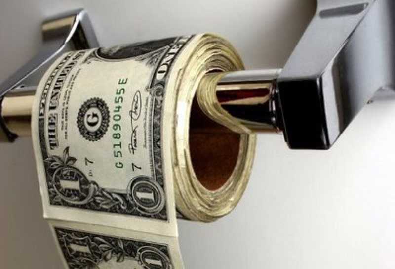 Money Toilet Paper