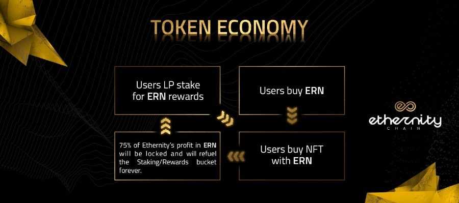 ERN Token Economy 