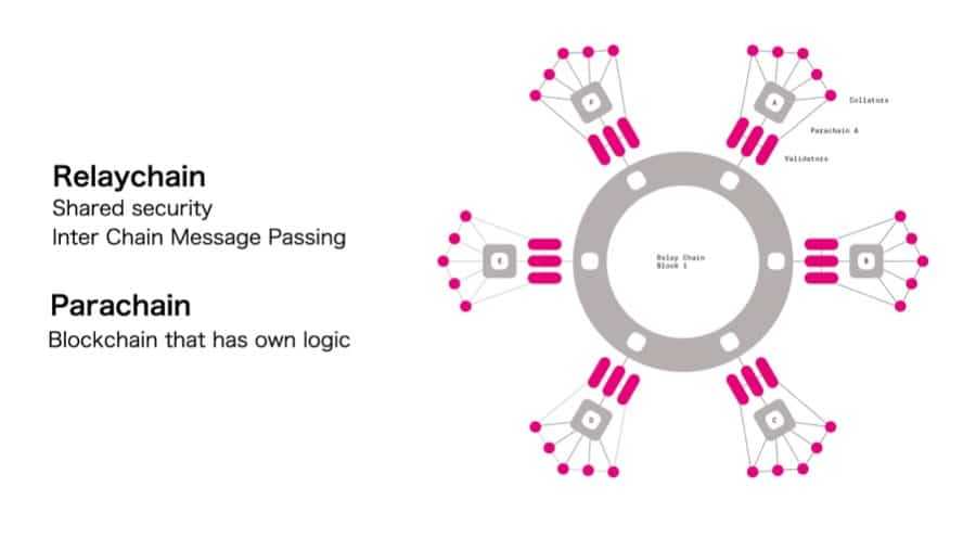 Polkadot Relay Chain