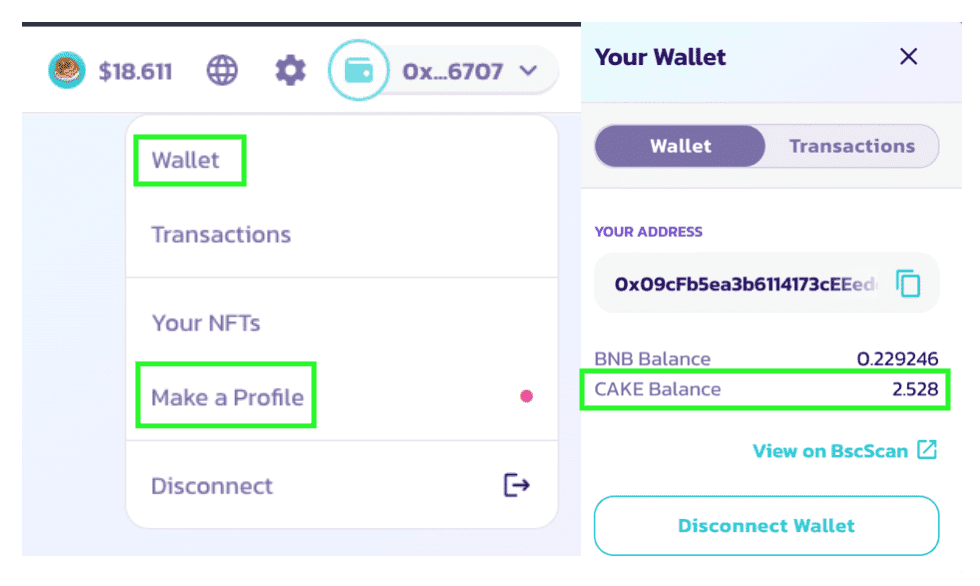 Check Wallet Balance