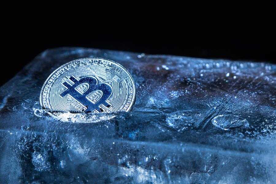 Crypto Winter Not Likely