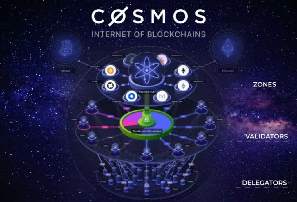 Cosmos