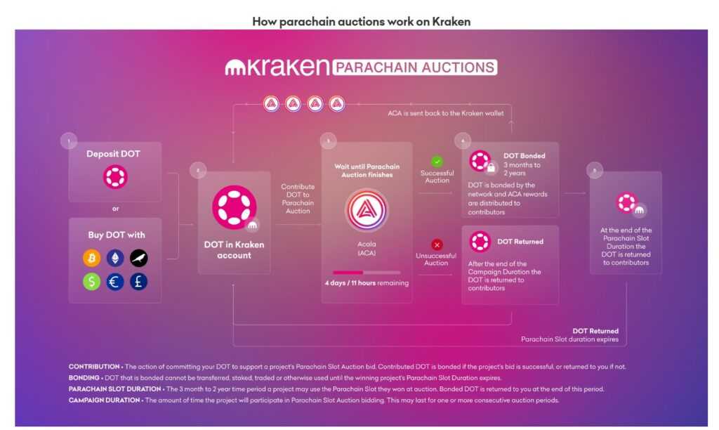 Kraken parachain auctions