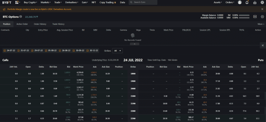 Bybit Options Interface