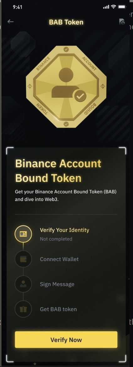 Binance BAB.jpg