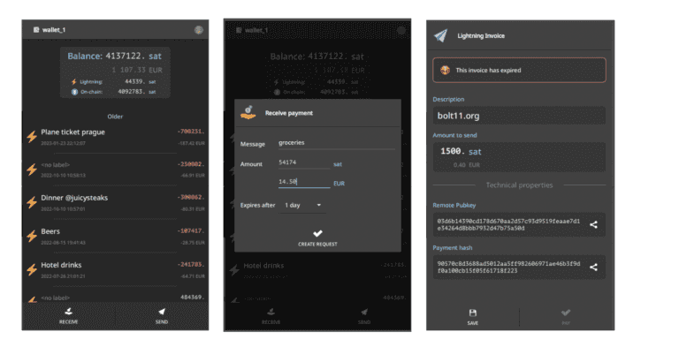 Configure Electrum for Lightning Payments