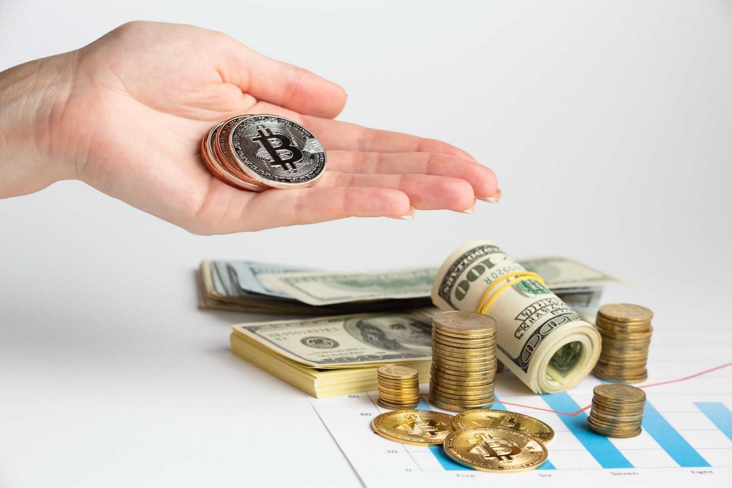 Fee Analysis Freepik.jpg