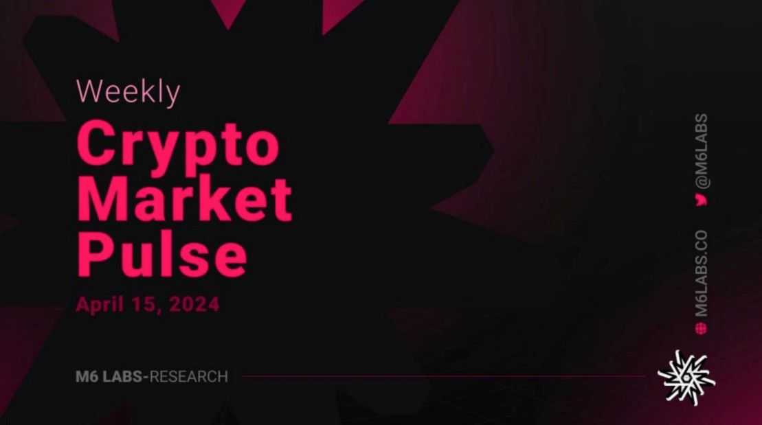 M6 Labs Crypto Market Pulse: Navigating The Stormy Crypto Seas