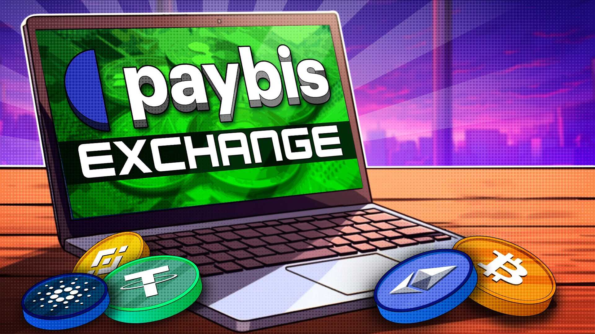 Paybis Review 2025: The Ultimate Guide to Using Paybis