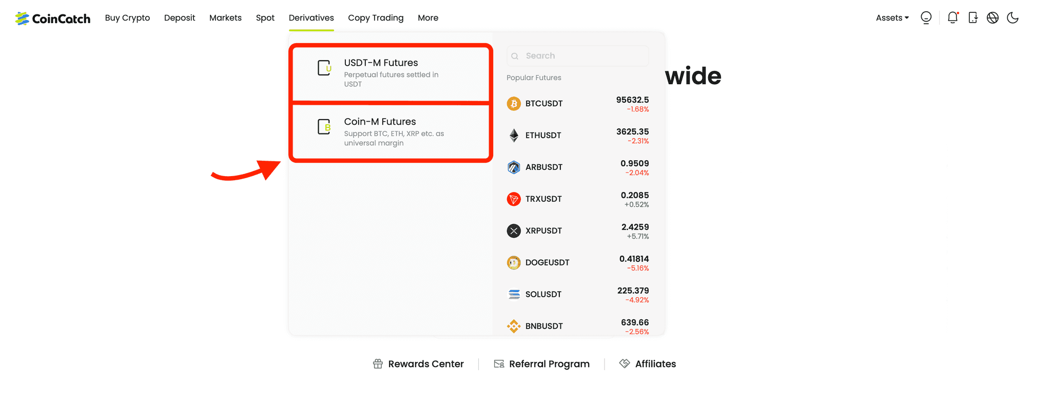 Futures Types on CoinCatch