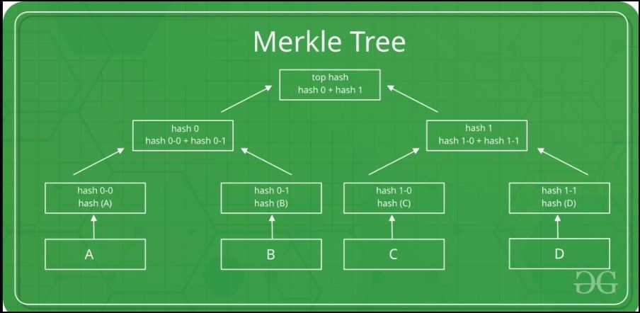 Use of Merkel Trees in Blockchain Technology.jpg