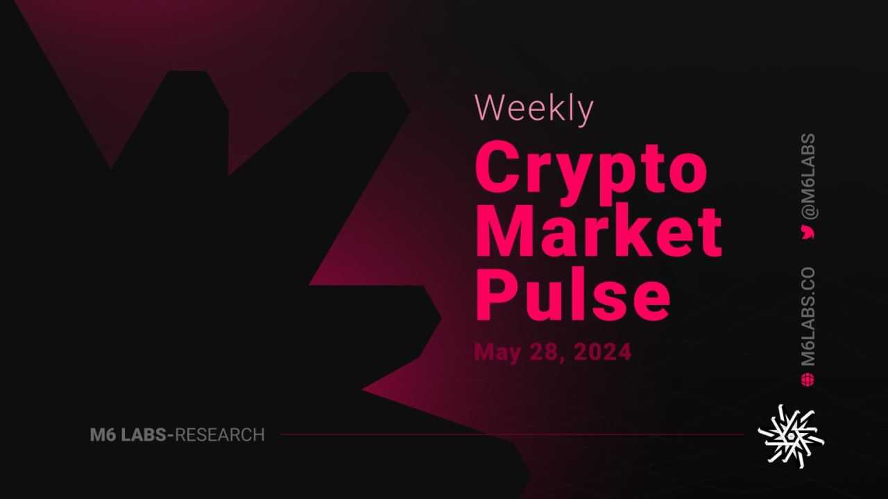 M6 Labs Crypto Market Pulse: Assessing Your Next 100x Investment