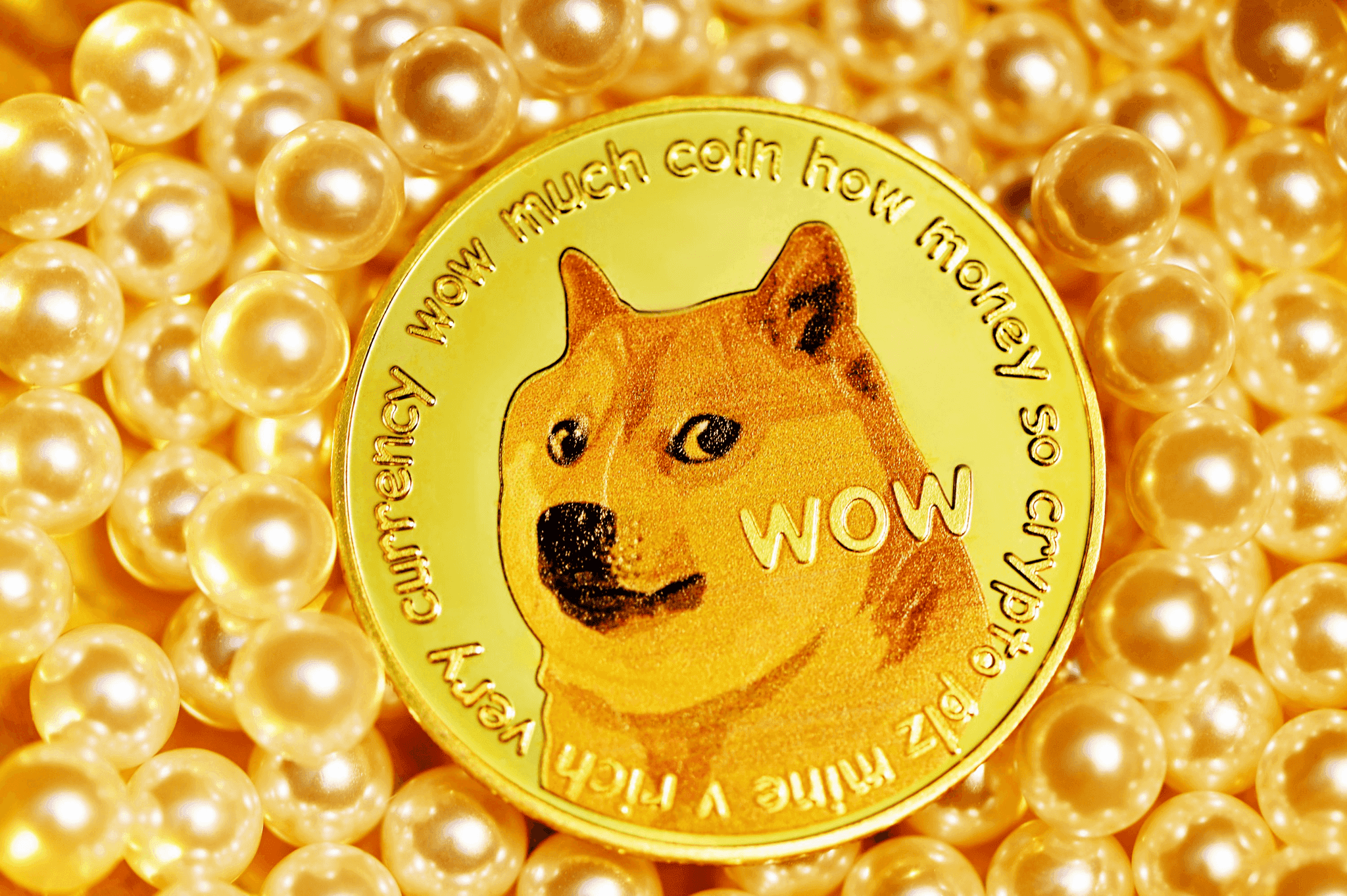 The Famous DOGE Coin