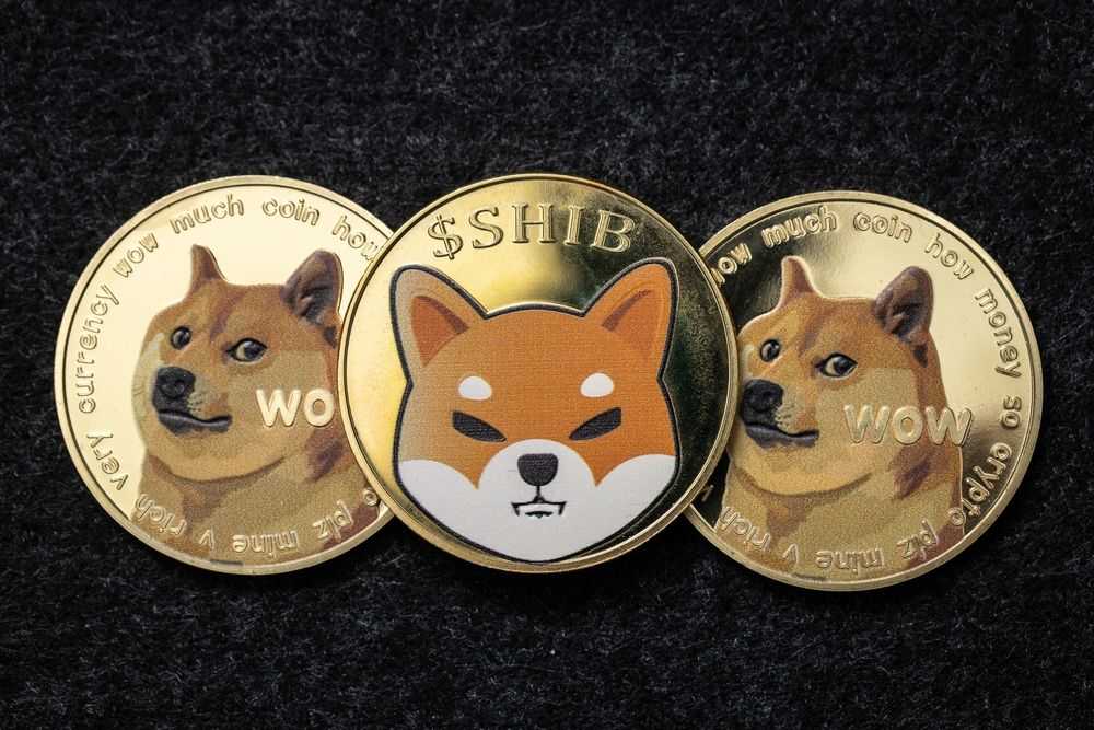 Celebrity Coins