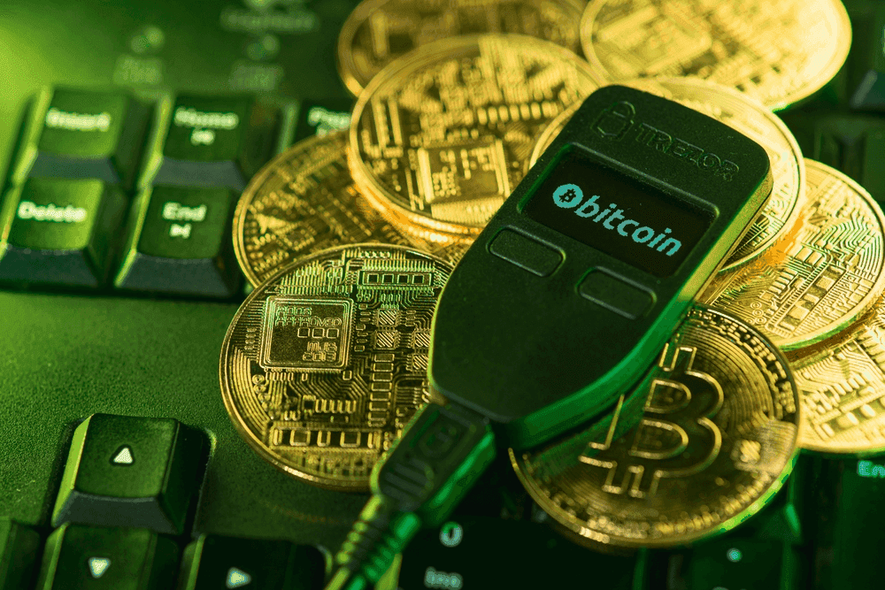 Cold Wallets to Store DOGE