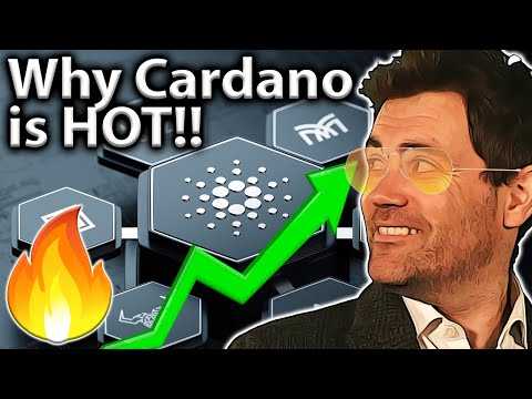 Cardano: ADA Run Could Just Be BEGINNING!!