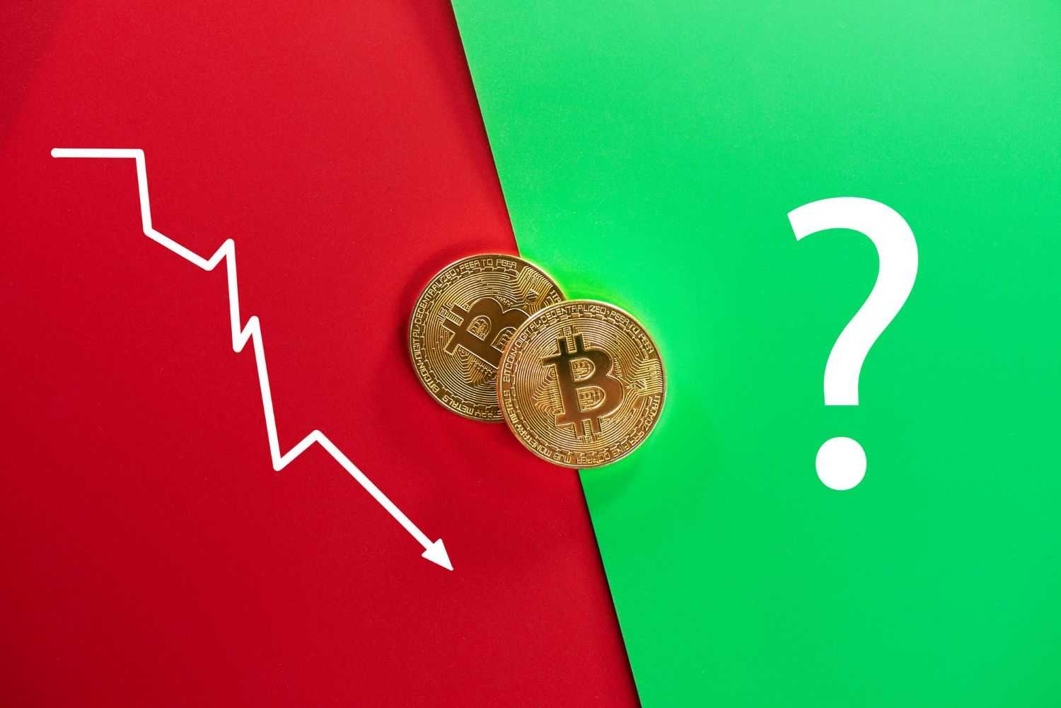 Pros and Cons Freepik.jpg