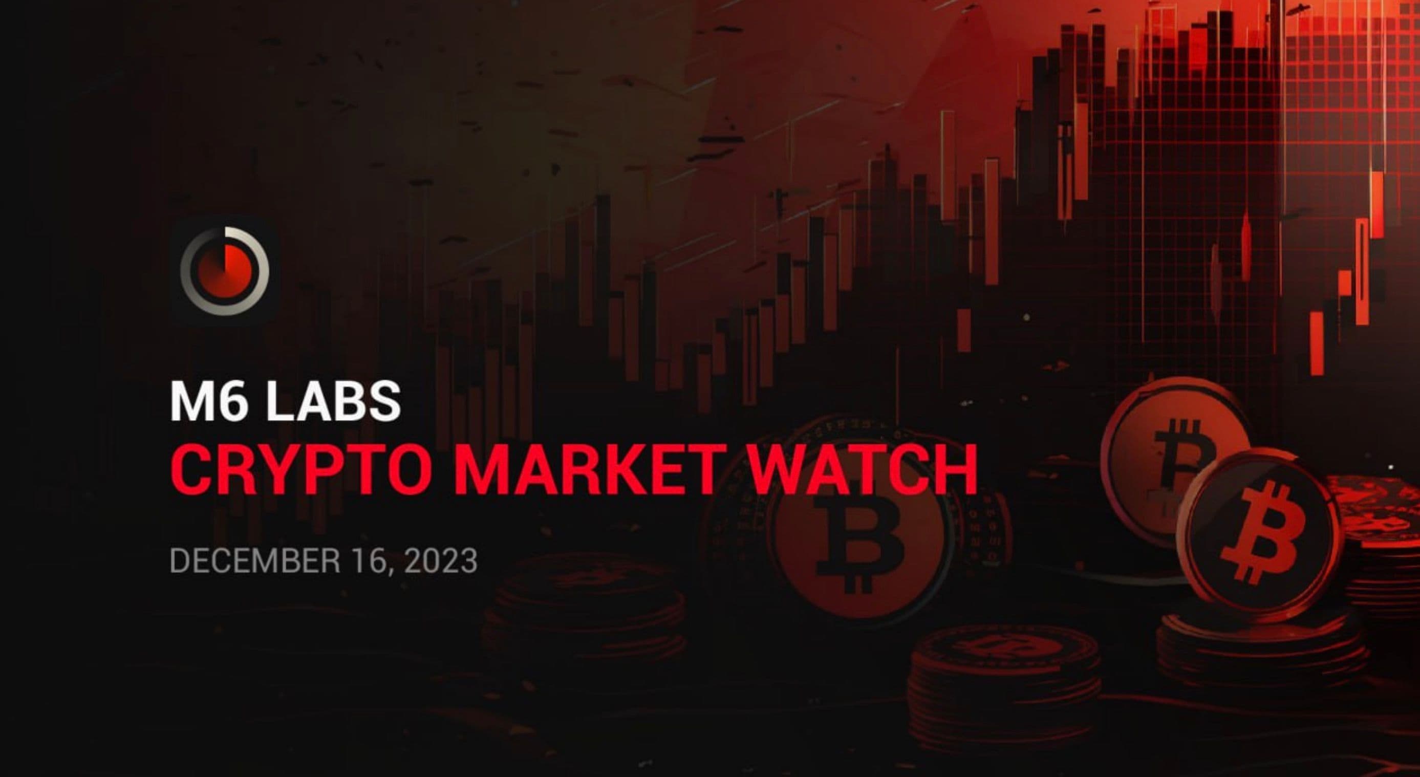 M6 Labs: Hacks and Market Recovery