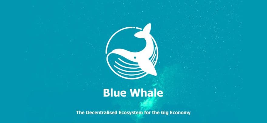 Blue Whale Foundation Review: Our Interview with the First ICON ICO