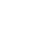 Community members across all platforms